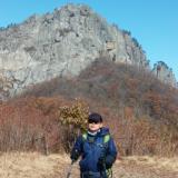 bakgoan1600 photo