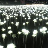 ARCHIA photo