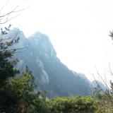 uzzong photo