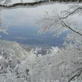 win996767 photo